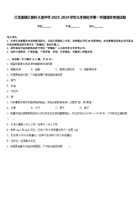 江苏省镇江新区大港中学2023-2024学年九年级化学第一学期期末预测试题含答案