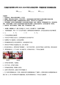 江西省丰城市第九中学2023-2024学年九年级化学第一学期期末复习检测模拟试题含答案