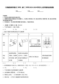 江西省抚州市临川二中学、崇仁二中学2023-2024学年九上化学期末监测试题含答案