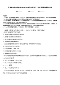 江西省吉安市吉安县2023-2024学年化学九上期末达标检测模拟试题含答案