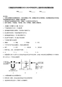 江西省吉安市遂州县2023-2024学年化学九上期末综合测试模拟试题含答案