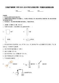 江西省宁都县第二中学2023-2024学年九年级化学第一学期期末监测模拟试题含答案