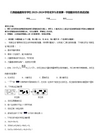 江西省南昌育华学校2023-2024学年化学九年级第一学期期末综合测试试题含答案