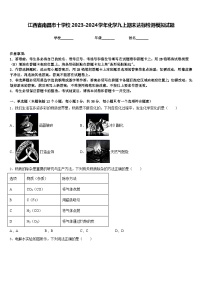 江西省南昌市十学校2023-2024学年化学九上期末达标检测模拟试题含答案