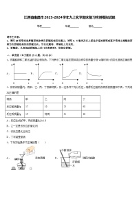 江西省南昌市2023-2024学年九上化学期末复习检测模拟试题含答案