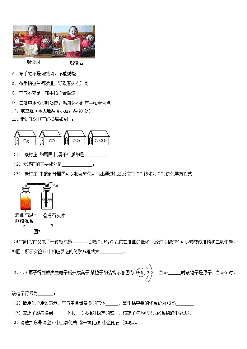 江西省余干县2023-2024学年九上化学期末质量跟踪监视模拟试题含答案第3页