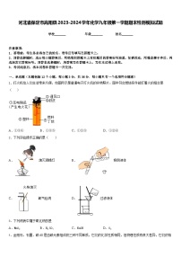 河北省保定市高阳县2023-2024学年化学九年级第一学期期末检测模拟试题含答案