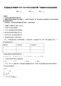 河北省唐山乐亭县联考2023-2024学年九年级化学第一学期期末学业质量监测试题含答案