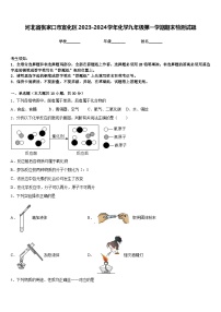 河北省张家口市宣化区2023-2024学年化学九年级第一学期期末检测试题含答案