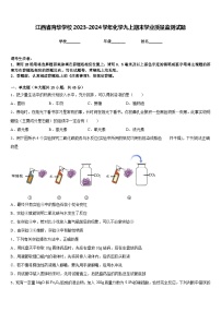 江西省育华学校2023-2024学年化学九上期末学业质量监测试题含答案