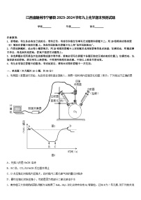 江西省赣州市宁都县2023-2024学年九上化学期末预测试题含答案