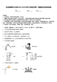 河北省邯郸市大名县2023-2024学年九年级化学第一学期期末达标测试试题含答案