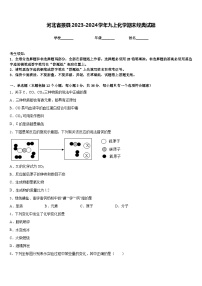 河北省景县2023-2024学年九上化学期末经典试题含答案