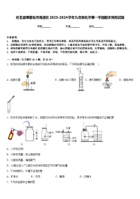 河北省秦皇岛市海港区2023-2024学年九年级化学第一学期期末预测试题含答案