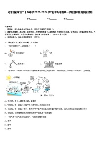 河北省石家庄二十八中学2023-2024学年化学九年级第一学期期末检测模拟试题含答案