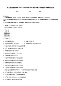 河北省高阳县联考2023-2024学年九年级化学第一学期期末联考模拟试题含答案