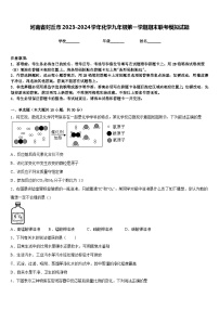 河南省封丘市2023-2024学年化学九年级第一学期期末联考模拟试题含答案