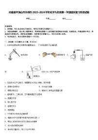 河南省平顶山市汝州市2023-2024学年化学九年级第一学期期末复习检测试题含答案