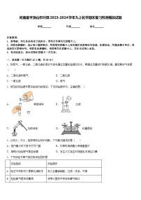 河南省平顶山市叶县2023-2024学年九上化学期末复习检测模拟试题含答案