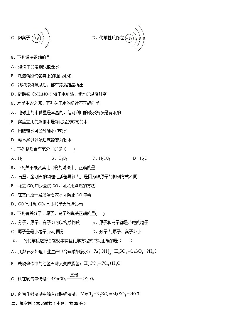 河南省商丘市柘城县实验中学2023-2024学年化学九年级第一学期期末教学质量检测试题含答案第2页
