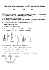 河南省信阳市平桥区明港镇2023-2024学年化学九上期末教学质量检测模拟试题含答案