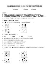 河南省信阳固始县联考2023-2024学年九上化学期末统考模拟试题含答案