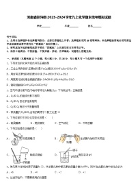 河南省扶沟县2023-2024学年九上化学期末统考模拟试题含答案