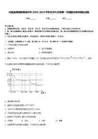 河南省淮阳县羲城中学2023-2024学年化学九年级第一学期期末联考模拟试题含答案