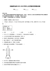 河南省罗山县2023-2024学年九上化学期末统考模拟试题含答案