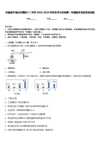 河南省平顶山市第四十二中学2023-2024学年化学九年级第一学期期末质量检测试题含答案