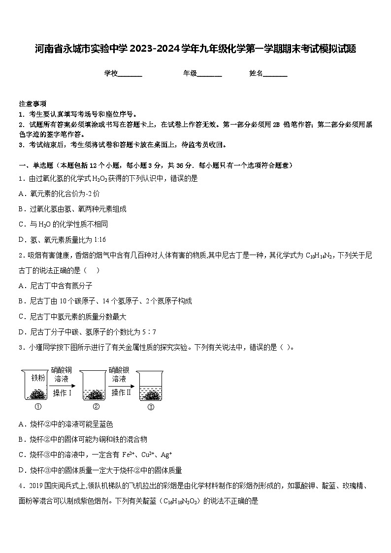 河南省永城市实验中学2023-2024学年九年级化学第一学期期末考试模拟试题含答案第1页