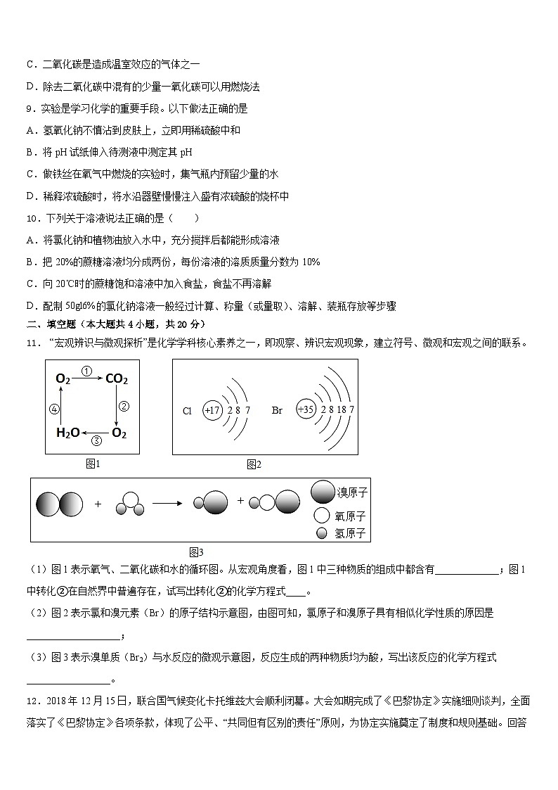 河池市重点中学2023-2024学年化学九上期末综合测试模拟试题含答案第3页