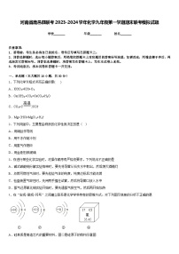 河南省鹿邑县联考2023-2024学年化学九年级第一学期期末联考模拟试题含答案