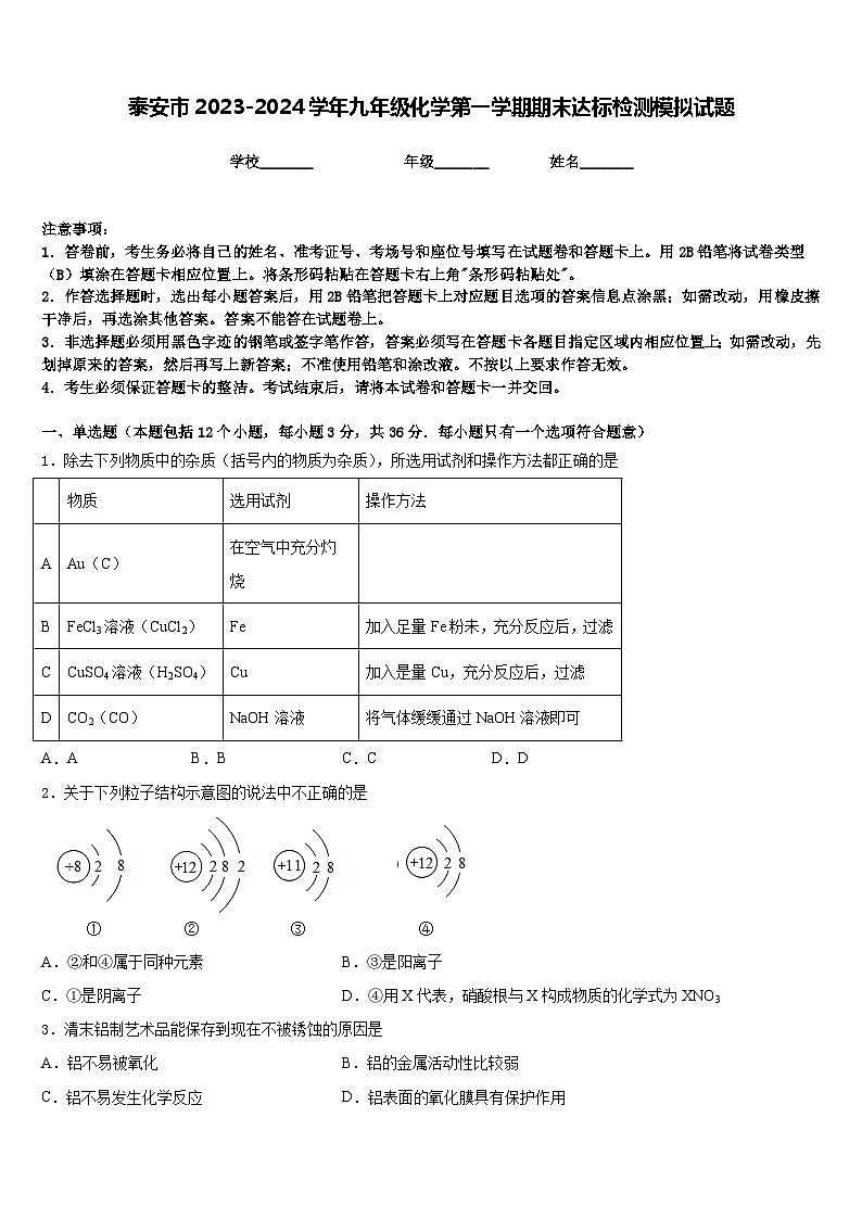 泰安市2023-2024学年九年级化学第一学期期末达标检测模拟试题含答案第1页