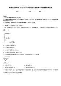 泉州市重点中学2023-2024学年化学九年级第一学期期末经典试题含答案