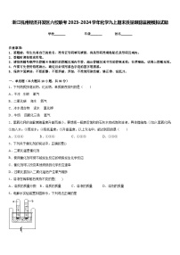 浙江杭州经济开发区六校联考2023-2024学年化学九上期末质量跟踪监视模拟试题含答案