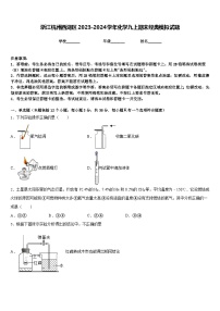 浙江杭州西湖区2023-2024学年化学九上期末经典模拟试题含答案