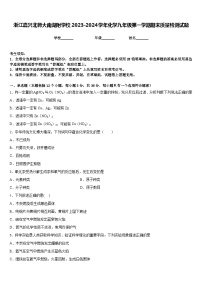 浙江嘉兴北师大南湖附学校2023-2024学年化学九年级第一学期期末质量检测试题含答案