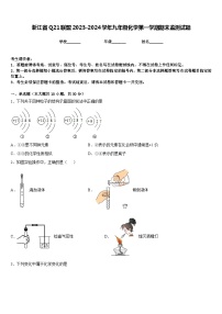 浙江省Q21联盟2023-2024学年九年级化学第一学期期末监测试题含答案