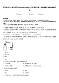 浙江省嘉兴市海宁新仓中学2023-2024学年九年级化学第一学期期末质量跟踪监视试题含答案