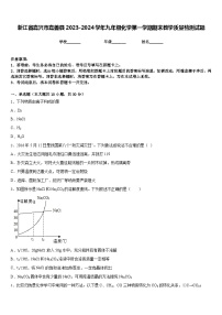 浙江省嘉兴市嘉善县2023-2024学年九年级化学第一学期期末教学质量检测试题含答案