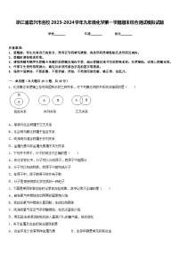 浙江省嘉兴市名校2023-2024学年九年级化学第一学期期末综合测试模拟试题含答案