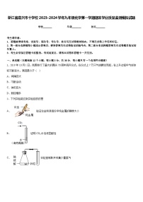 浙江省嘉兴市十学校2023-2024学年九年级化学第一学期期末学业质量监测模拟试题含答案