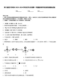 浙江省嘉兴市桐乡2023-2024学年化学九年级第一学期期末教学质量检测模拟试题含答案