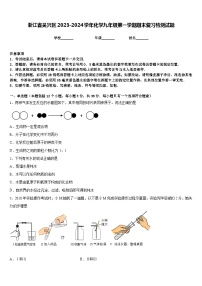 浙江省吴兴区2023-2024学年化学九年级第一学期期末复习检测试题含答案