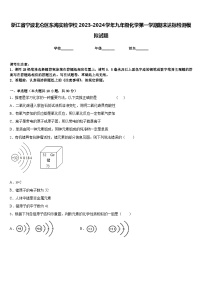 浙江省宁波北仑区东海实验学校2023-2024学年九年级化学第一学期期末达标检测模拟试题含答案