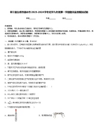 浙江省台州市温岭市2023-2024学年化学九年级第一学期期末监测模拟试题含答案