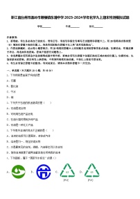 浙江省台州市温岭市箬横镇东浦中学2023-2024学年化学九上期末检测模拟试题含答案