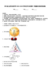 浙江省上虞市实验中学2023-2024学年化学九年级第一学期期末质量检测试题含答案