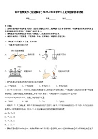 浙江省慈溪市（区域联考）2023-2024学年九上化学期末统考试题含答案